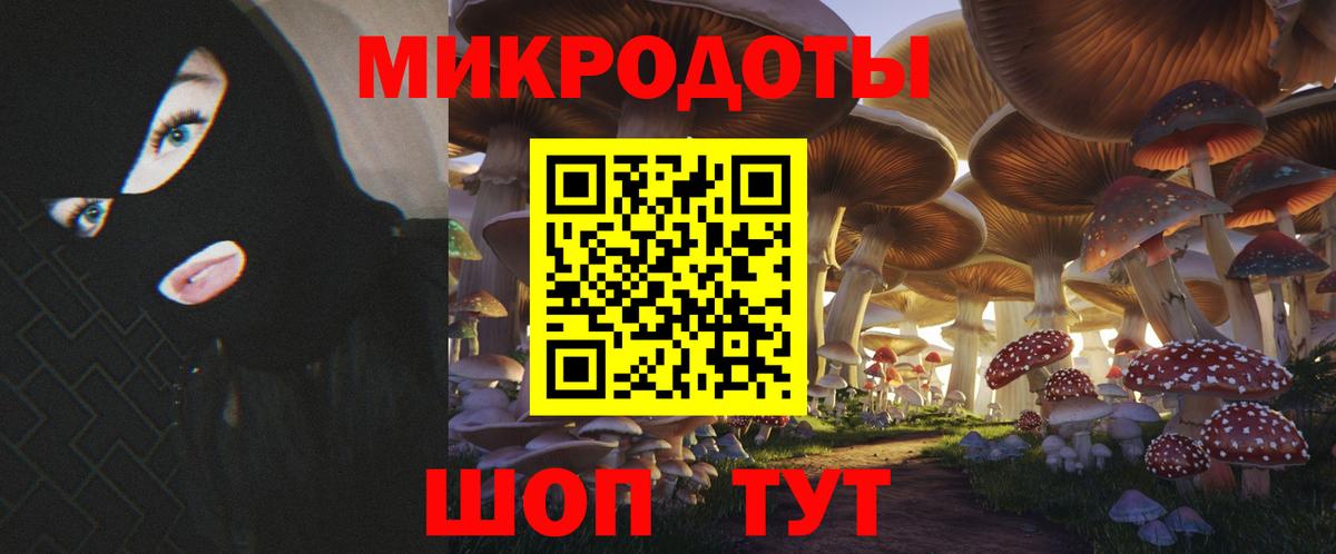 Анжеро-Судженск  Псилоцибиновые грибы прущие грибы  Псилоцибиновые грибы прущие грибы  Вход с VPN 