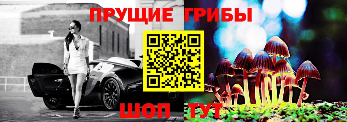 Галлюциногенные грибы Psilocybine cubensis Анжеро-Судженск